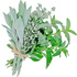 Forest herbs